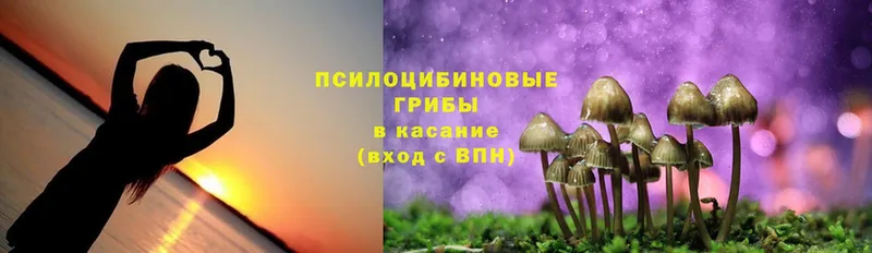 Галлюциногенные грибы MAGIC MUSHROOMS  Анапа 